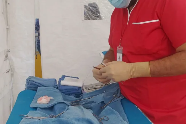 Exitosa campaña de esterilización: Romero