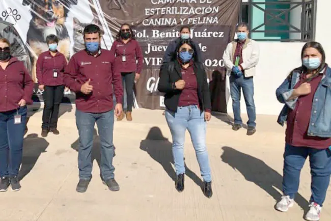 Continúan campañas de esterilización de mascotas