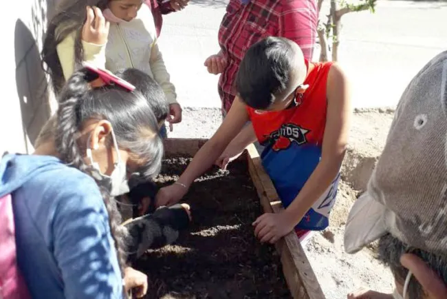 Llevan Sembrando Vida a Los Tápiros