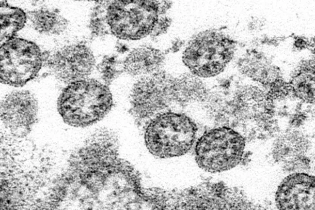 Dejan celebraciones graves consecuencias