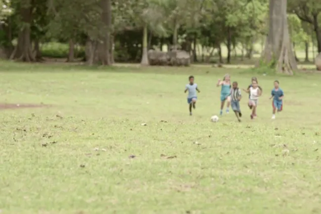 Impacto negativo por el Coronavirus