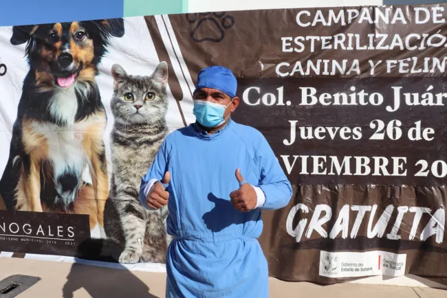 Permanentes campañas de esterilización en colonias