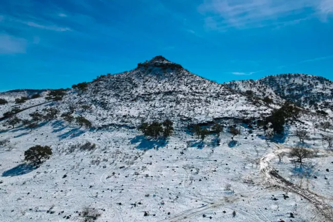 Necesaria compra del Centauro se pueden ahorrase 53.8 MDP