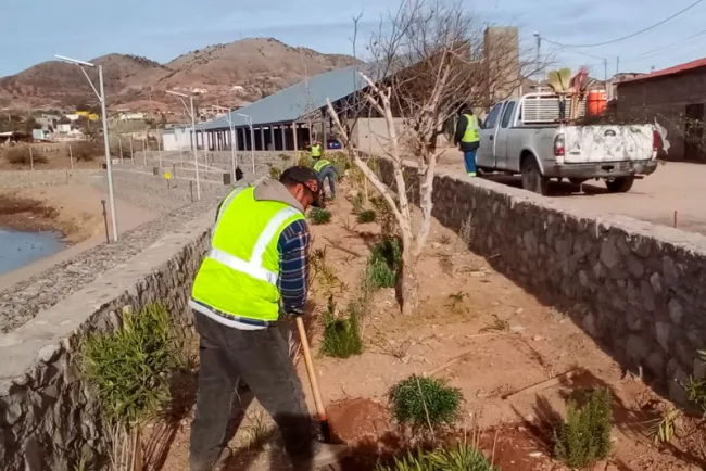 Siembran árboles frutales en parque de El Represo