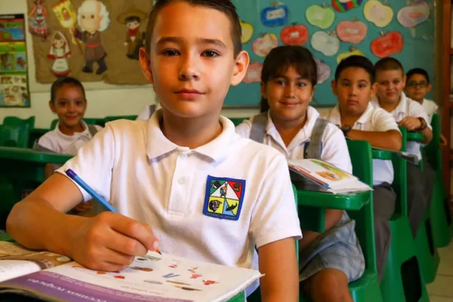 Propone Diputado del PV regreso a clases presenciales