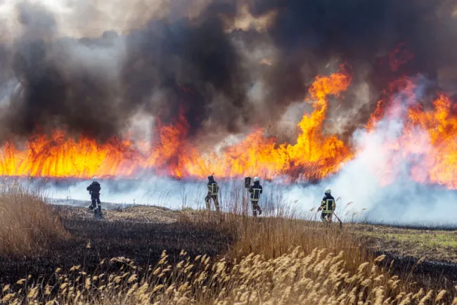 Alertan por temporada de incendios forestales