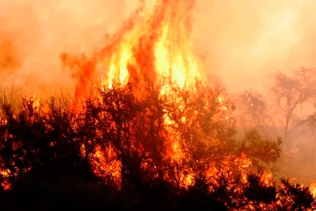 Los vientos y rachas de calor detonan incendios