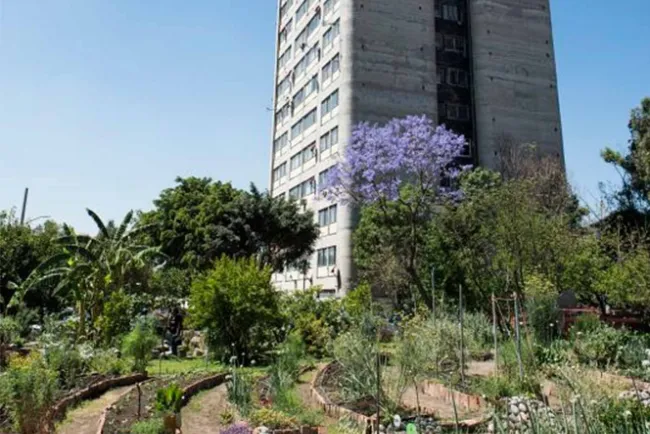 Huertos urbanos, alternativas contra el calor de las ciudades