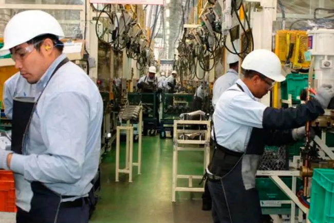 Debe seguir empleo a la alza