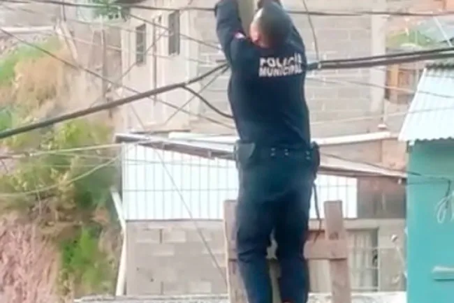 Exhortan a la comunidad se denuncie el maltrato animal