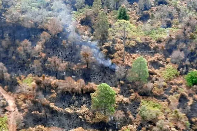 Liquidan en un 90% incendio en El Tepozteco