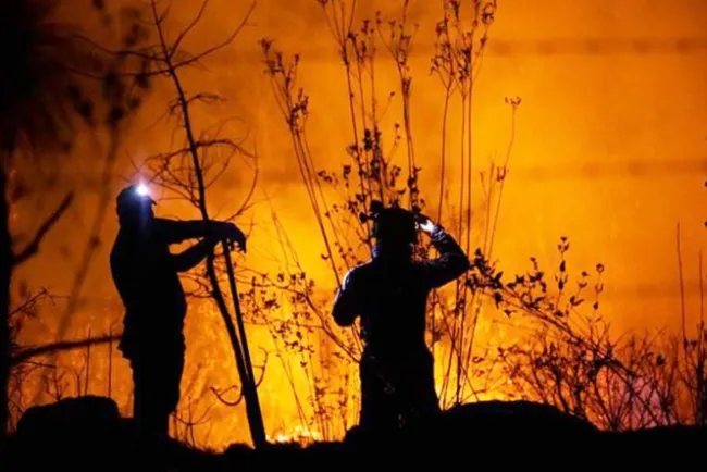 Contabilizan 92 incendios forestales en México
