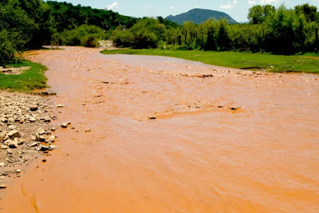 Incorrecta implementación de potabilizadoras: Colson