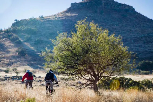 Dictaminan regidores a favor del Centauro