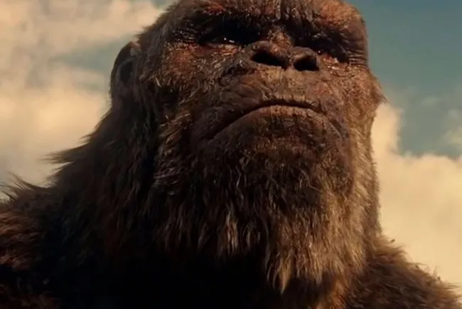 Escuchan a los fans y ya preparan secuela de Godzilla vs Kong
