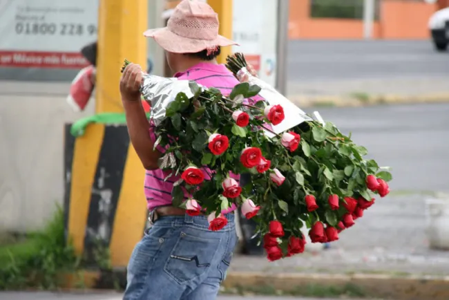 Evitarán competencia desleal entre floristas