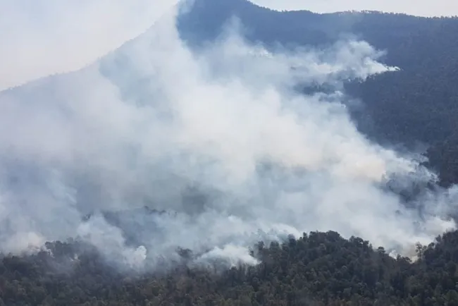 ¡Alertan! Incendio en Cerro de la Cruz está fuera de control