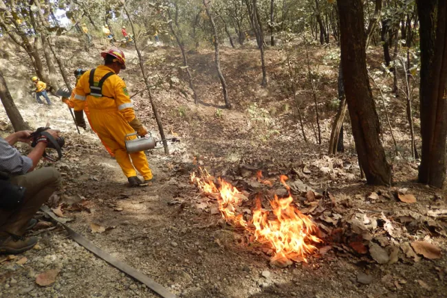 Activa Conafor cuadrilla por riesgo de incendios