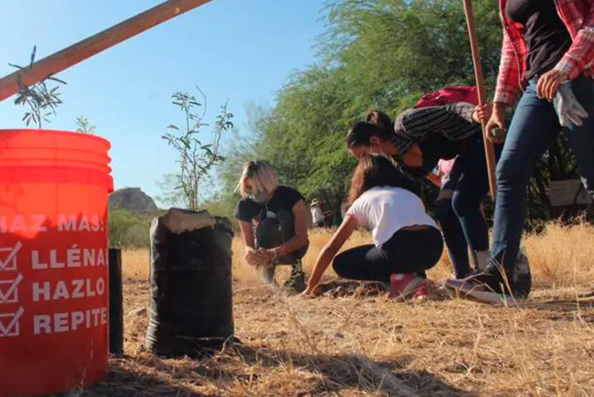 Realizan jornadas de limpieza en La Sauceda
