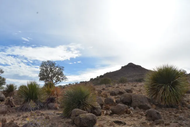 Concretan negociación del Centauro de la Frontera