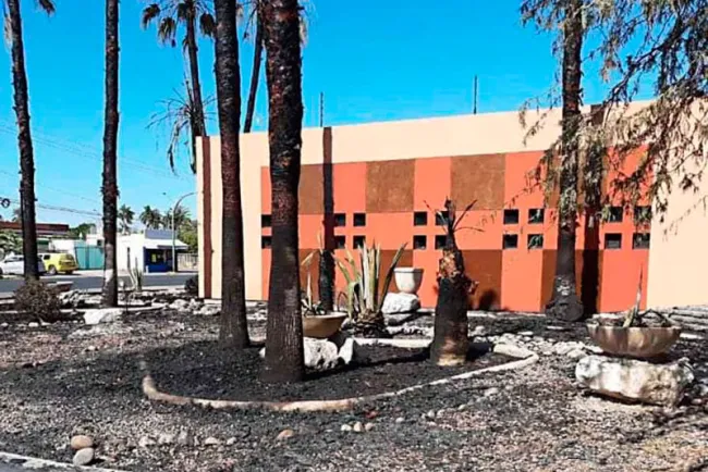 Analiza Unison interponer denuncia por incendio