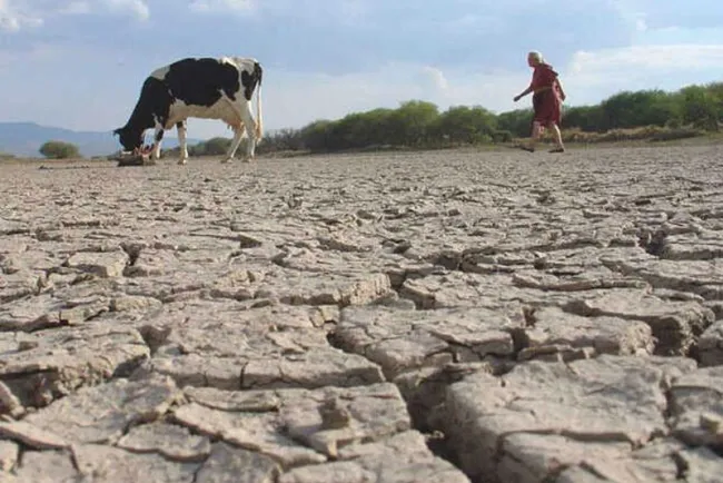 Solicita Congreso enfrentar sequía