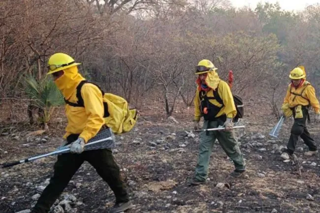 ¡Arde Durango! Registra 21 incendios forestales activos