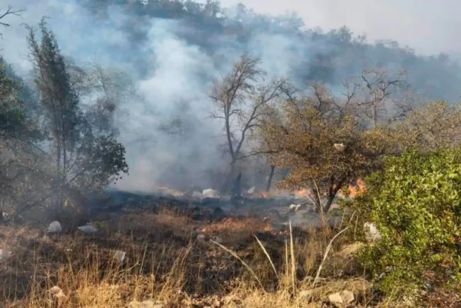 Alertan por alto riesgo de incendios forestales