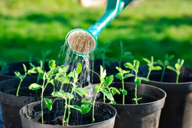 Invitan a reciclar agua de uso común