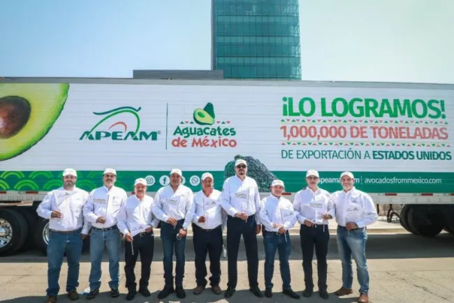 Aumenta exportación de aguacate mexicano; rompe récord de envíos a EU