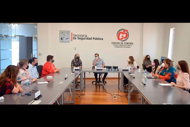 Analiza Unicef 911 Sonora