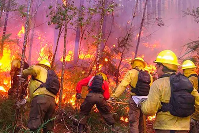 Aumentan incendios forestales