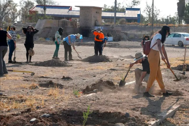 Realizan jornada de reforestación