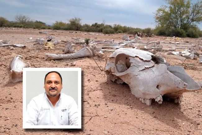 Preocupa situación de sequía