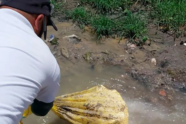 Aplican cloro a PTAR y evitan contaminación