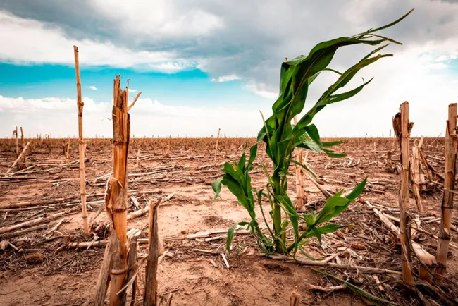 Persiste sequía a pesar de lluvias