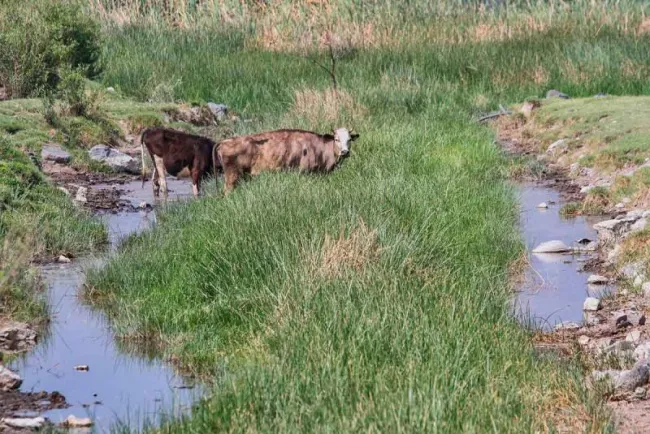 Aún con sequía, 42.6% del territorio nacional