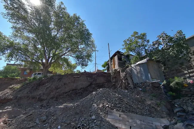 Denuncian invasión de área  verde y derribo de árboles