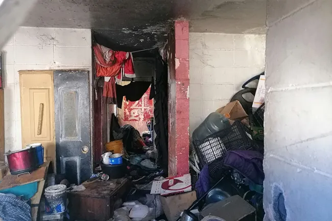 Invaden ratas el Infonavit