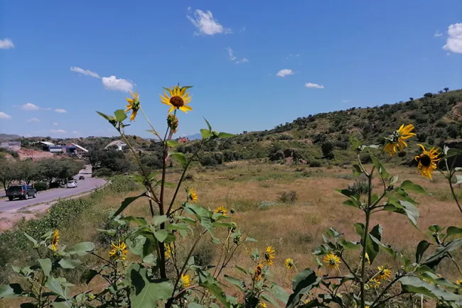 Aprueban desarrollo en El Greco