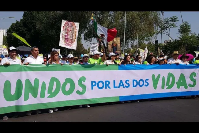 Fallo sobre aborto tiene inconsistencia: Provida