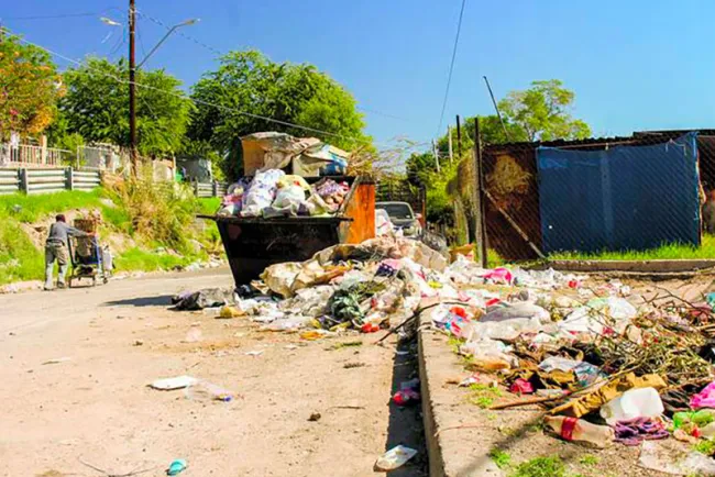 Basura y calor aceleran proliferación de moscas