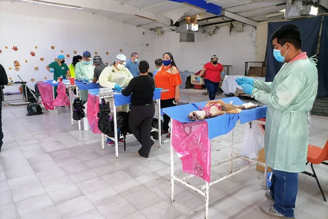 Realizan exitosa jornada de castración canina y felina
