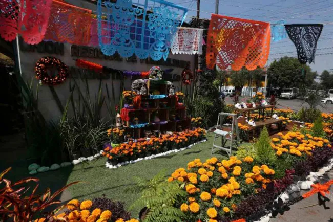 Mejora venta de flor de cempasúchil