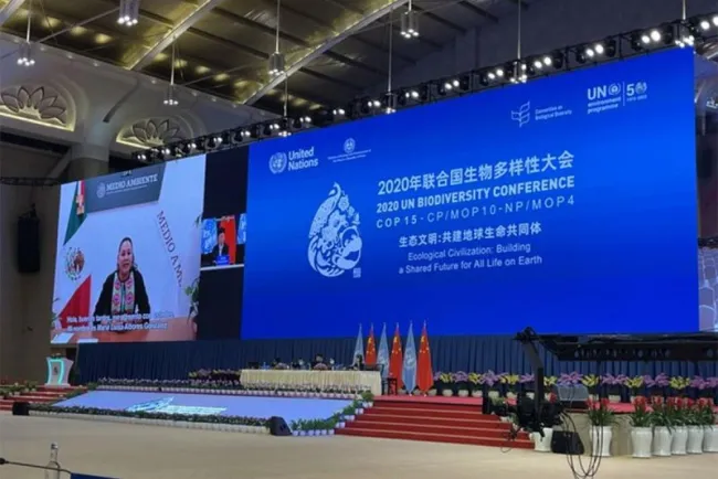 México apoya metas más ambiciosas en la protección de nuestro planeta: Semarnat