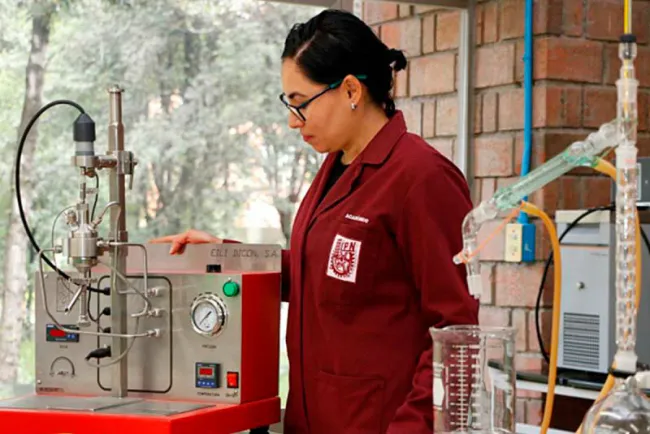 Falta más reconocimiento a mexicanas: Carolina Leyva