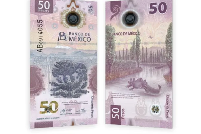 Morelos se va del billete de 50 pesos; el ajolote es ahora el protagonista
