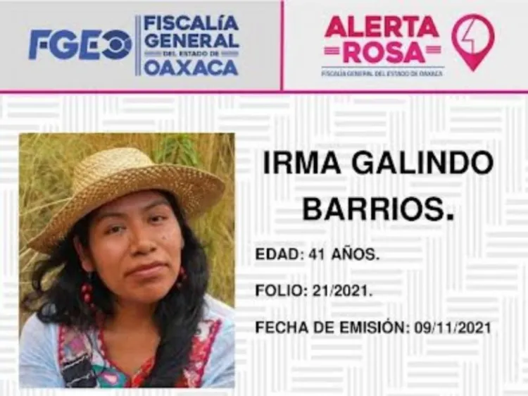 Emiten Alerta Rosa para localizar a la activista Irma Galindo