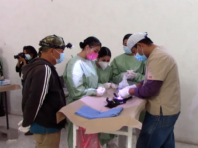 Realizan exitosa campaña de esterilización en Nogales