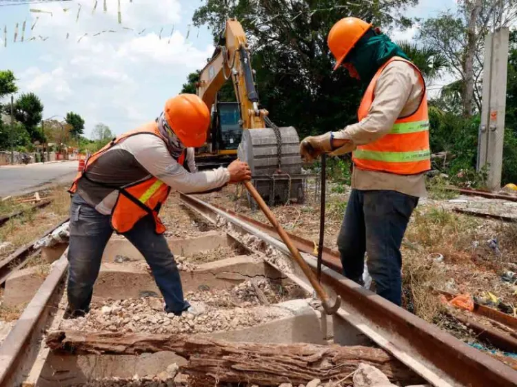 Piden ambientalistas derogar Acuerdo que busca agilizar obras del gobierno